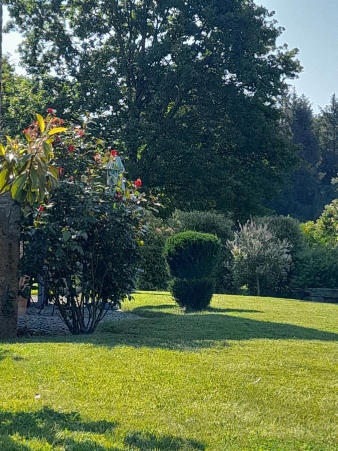Bed and Breakfast La Sellerie à Romagne  Extérieur photo